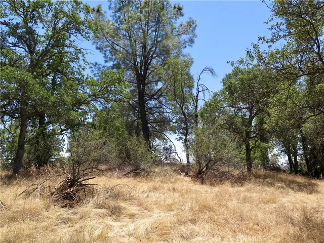 0 Ramblin Rd, Mariposa, California 95338