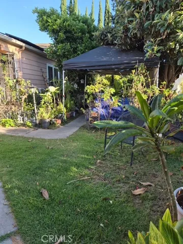 open area of the front of the house and side yard