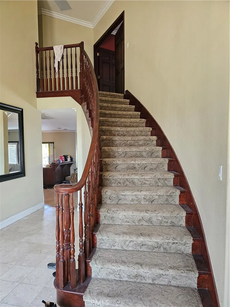 Spiral Staircase
