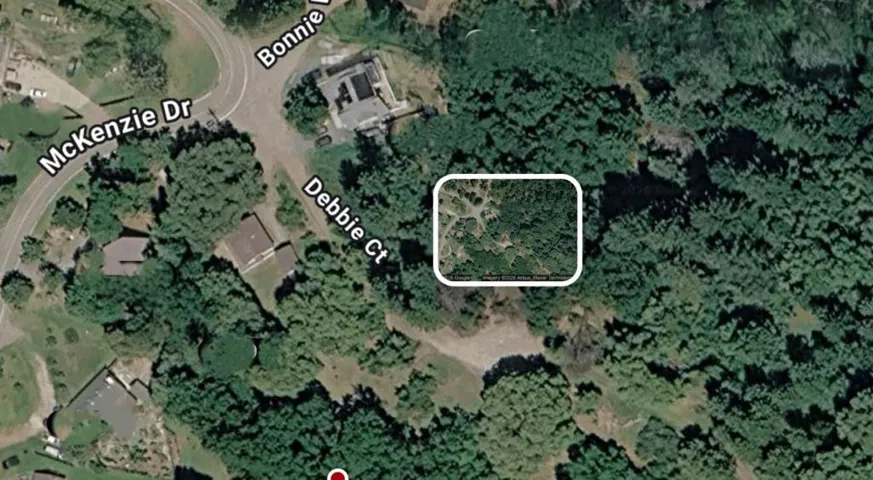 27891 Debbie Court, Pioneer, California 95666