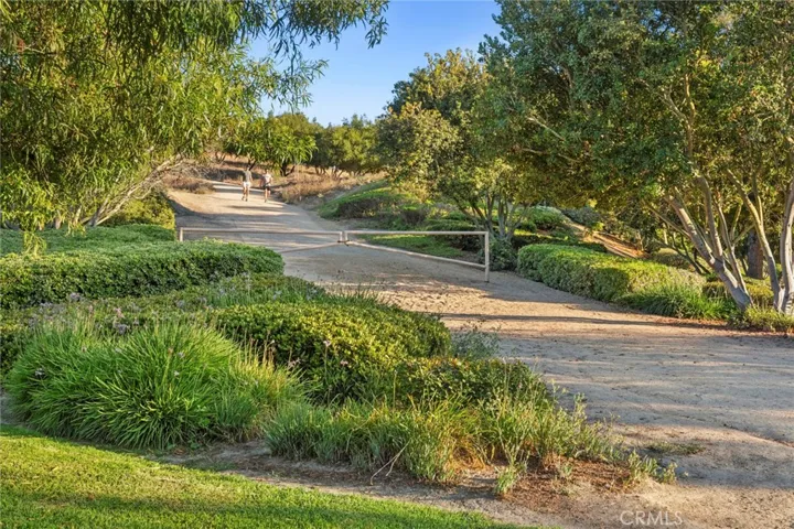 Beautiful community trails to get lost on