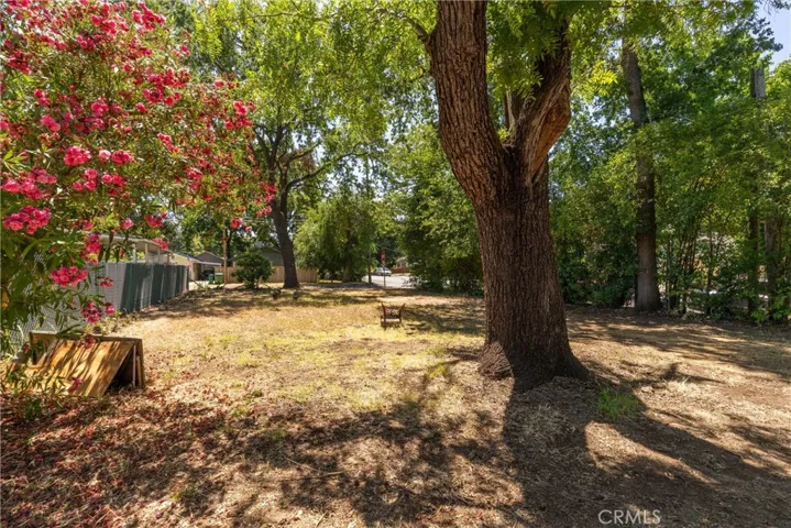 1087 E 9th Street, Chico, California 95928
