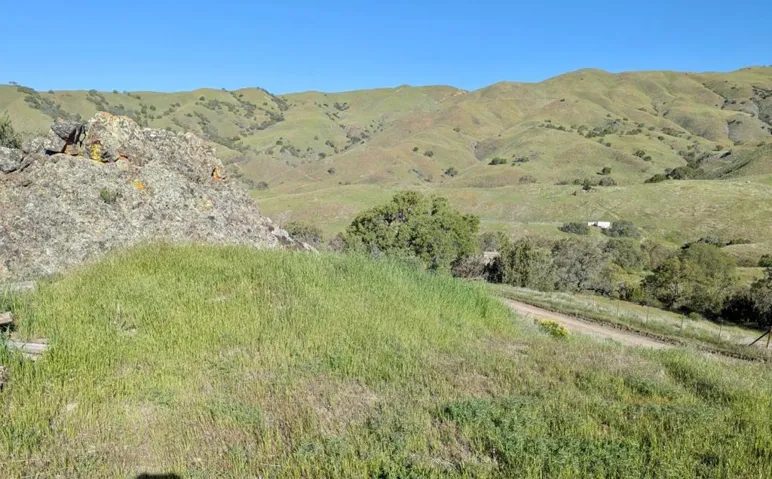0 Panoche – Willow Springs, Paicines, California 95043