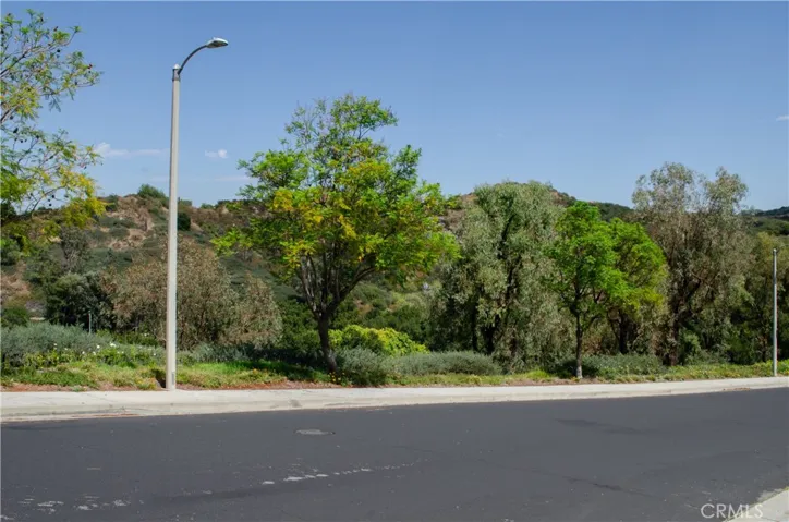 Street view from the front yard
