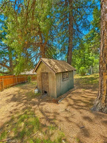 Backyard Shed