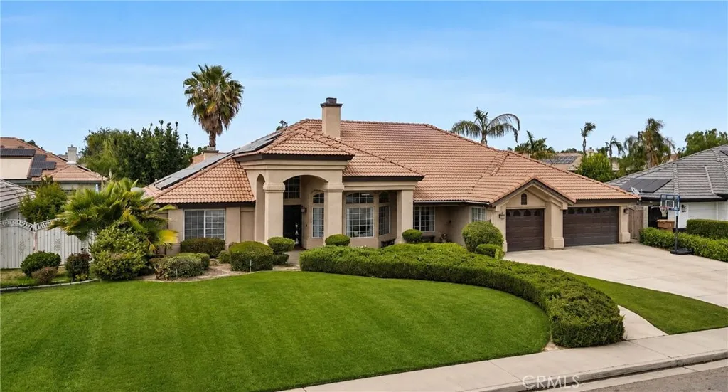 13206 Monarch Palm