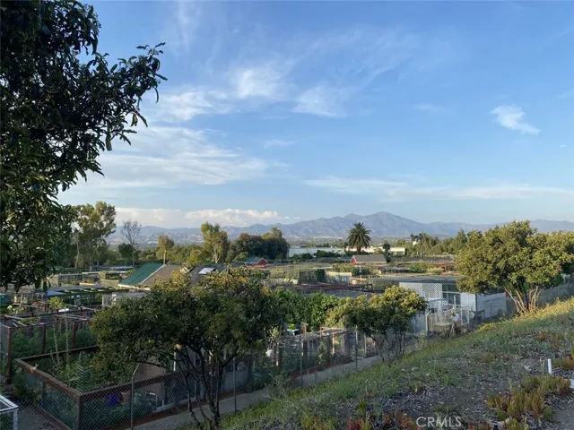 GARDEN CENTER 2