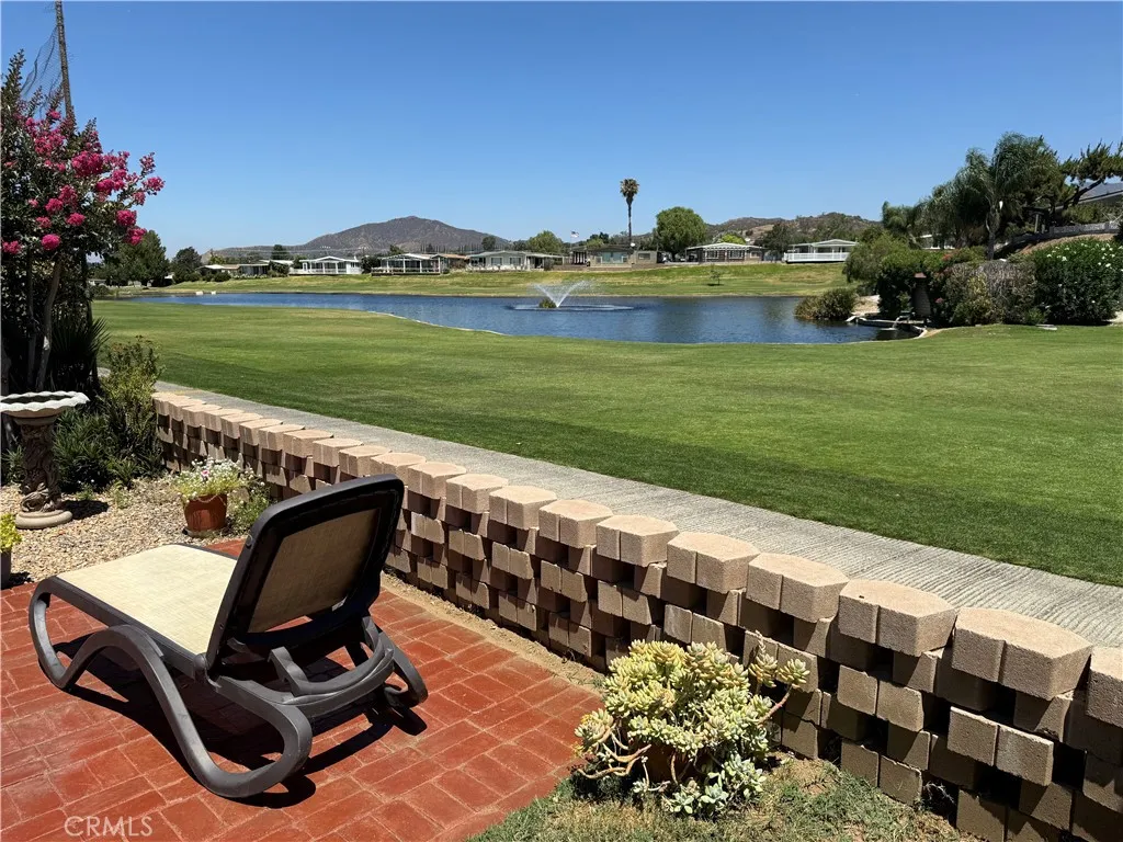 Back Yard View