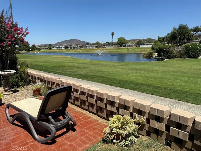 Back Yard View