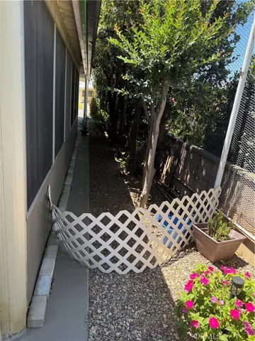 Side Yard