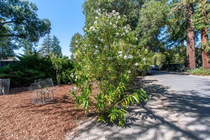 14111 Alta Vista Avenue, Saratoga, California 95070