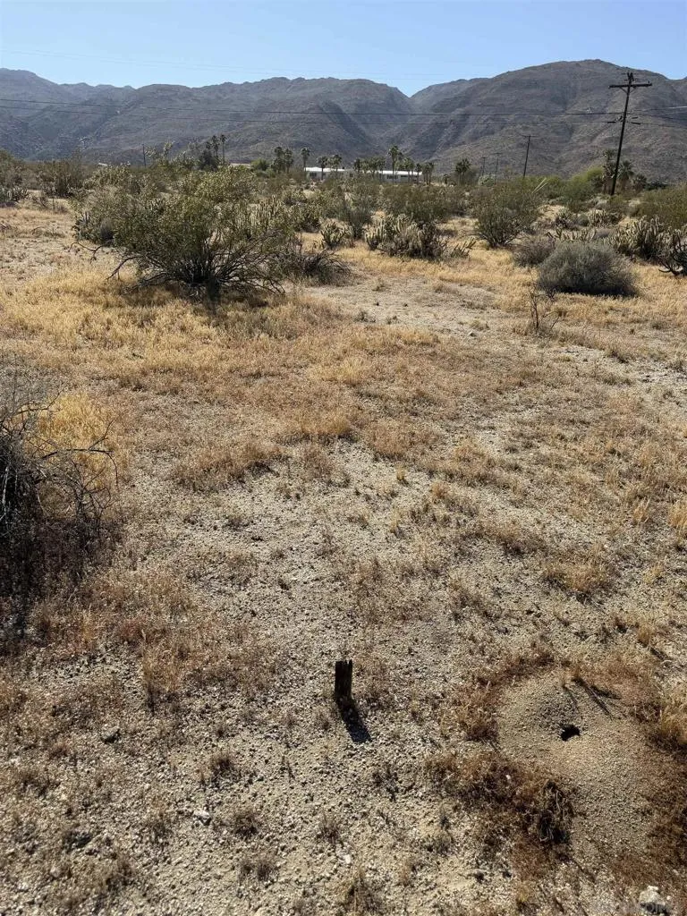 Broken Arrow, Borrego Springs, California 92004 — photo 4