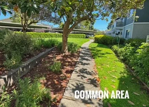 755 14th Avenue 704, Santa Cruz, California 95062