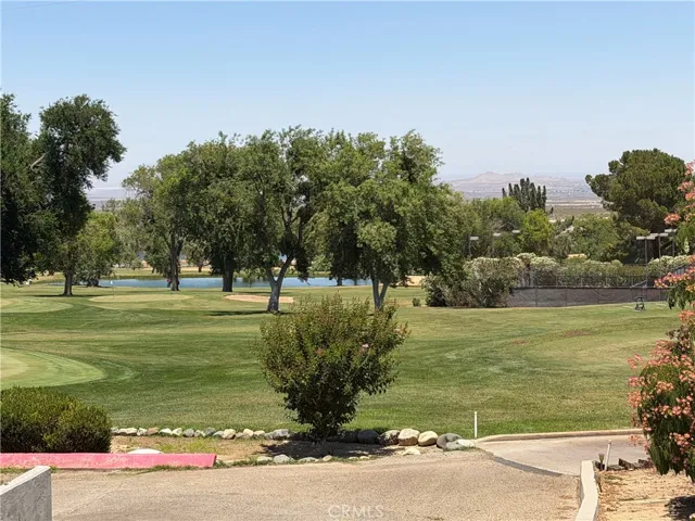 32038 Crystalaire, Llano, California 93544