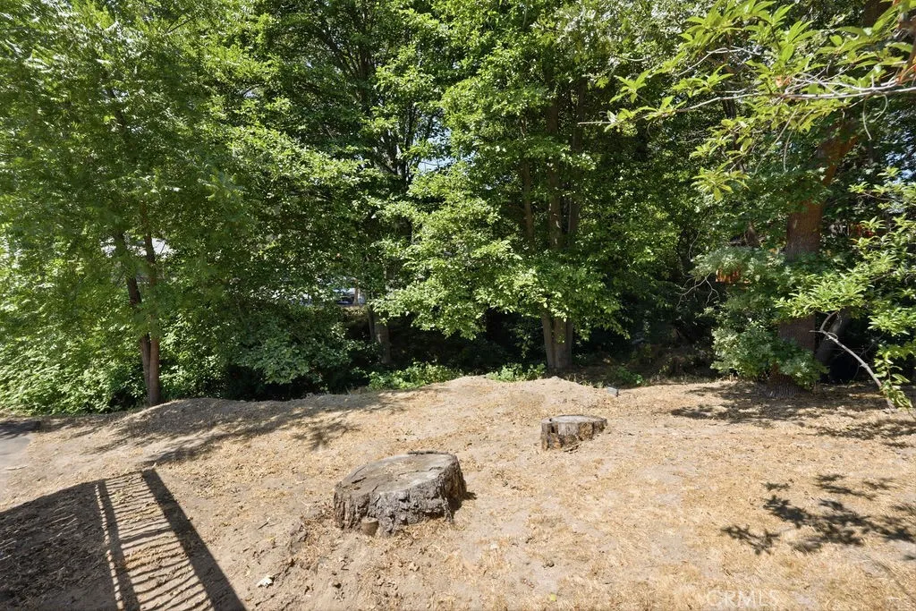 back yard area