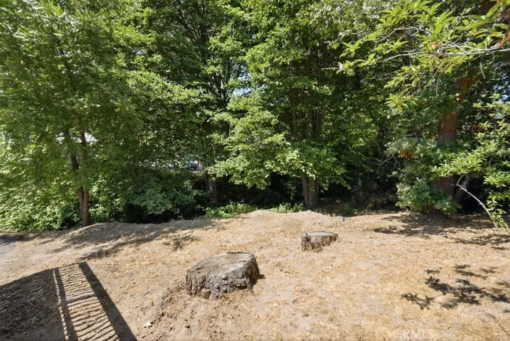 back yard area