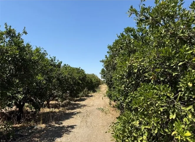 25258 Avenue 82, Terra Bella, California 93270