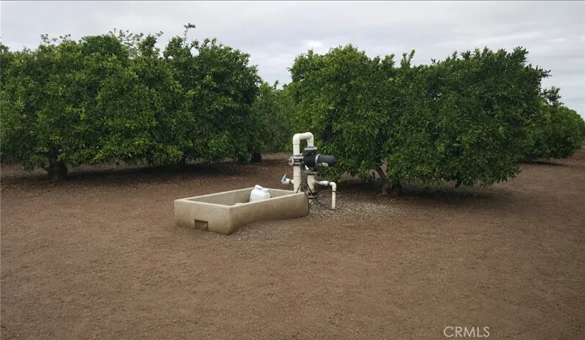25258 Avenue 82, Terra Bella, California 93270