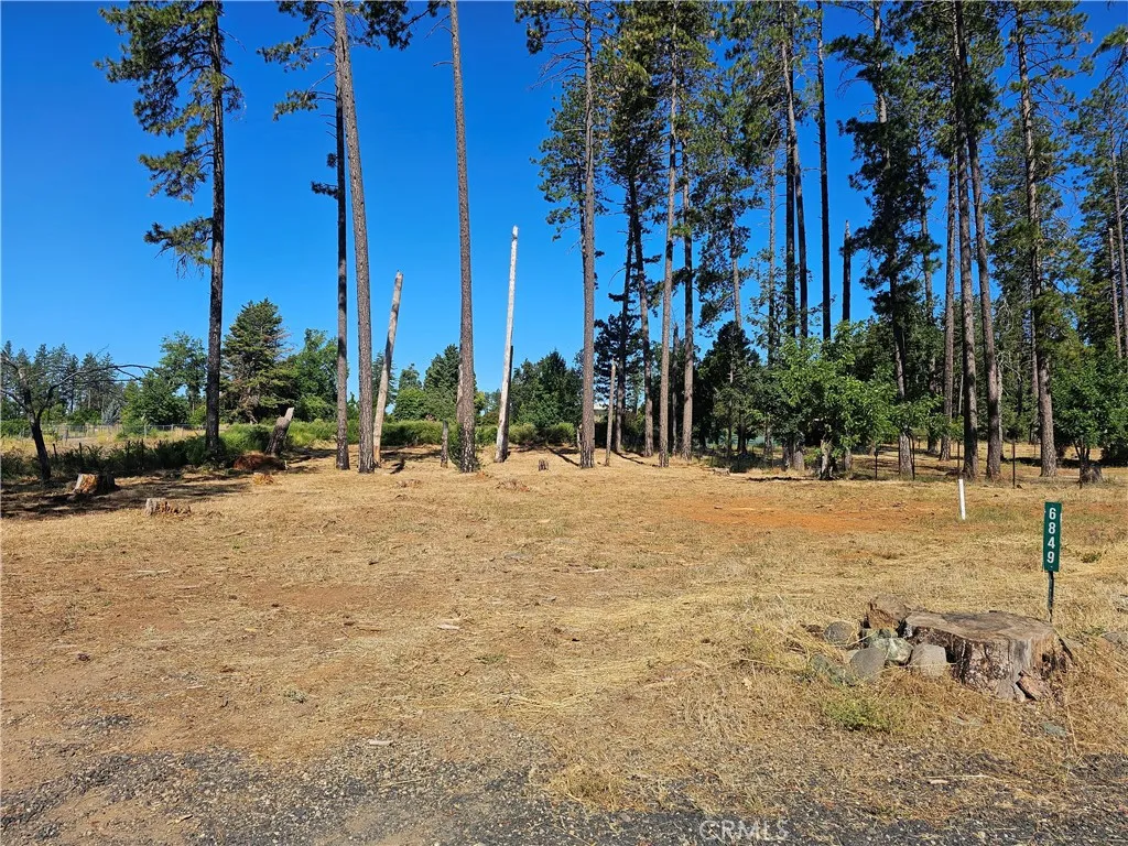 6849 Clark Rd Road, Paradise, California 95969 — photo 5