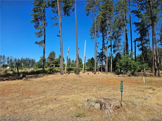 6849 Clark Rd Road, Paradise, California 95969