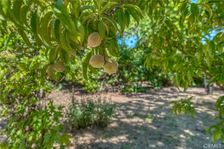 2145 Big Valley, Lakeport, California 95453