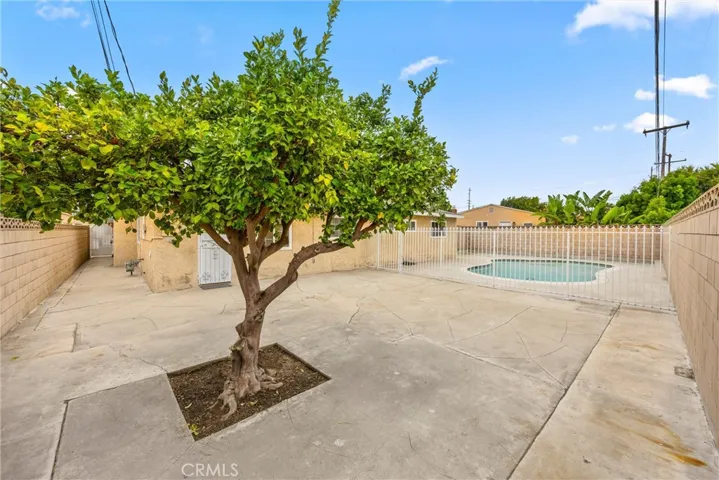 Low Maintenance Backyard