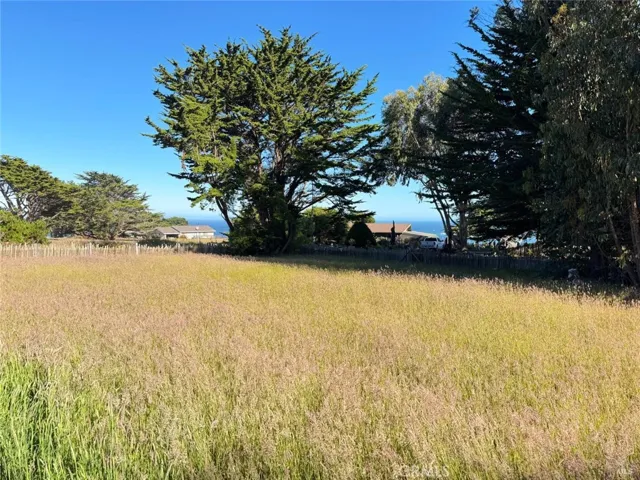 34201 Pacific Reefs Road, Albion, California 95410