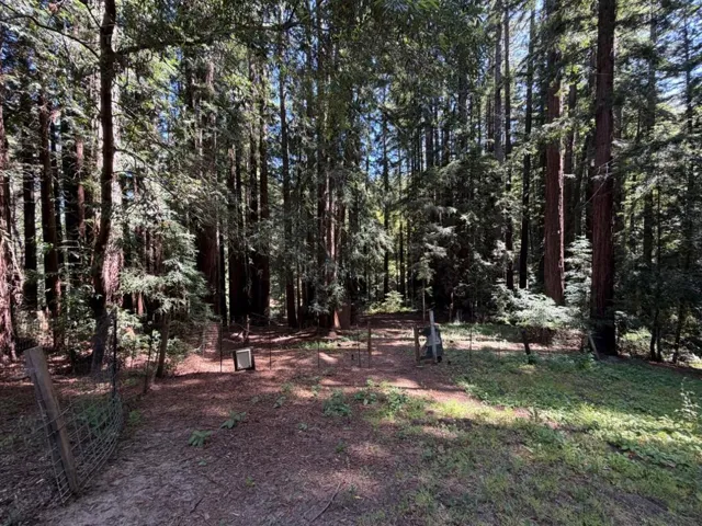 17388 Tressel Pass Road, Boulder Creek, California 95006