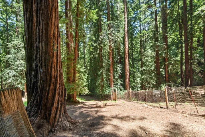 17388 Tressel Pass Road, Boulder Creek, California 95006
