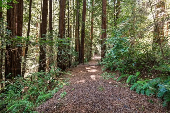17388 Tressel Pass Road, Boulder Creek, California 95006