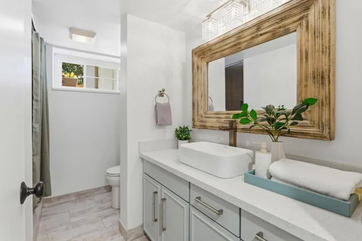 Lower level Bathroom