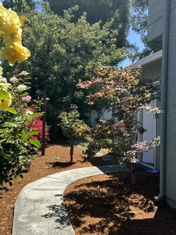 315 Landeros Drive, Santa Clara, California 95051