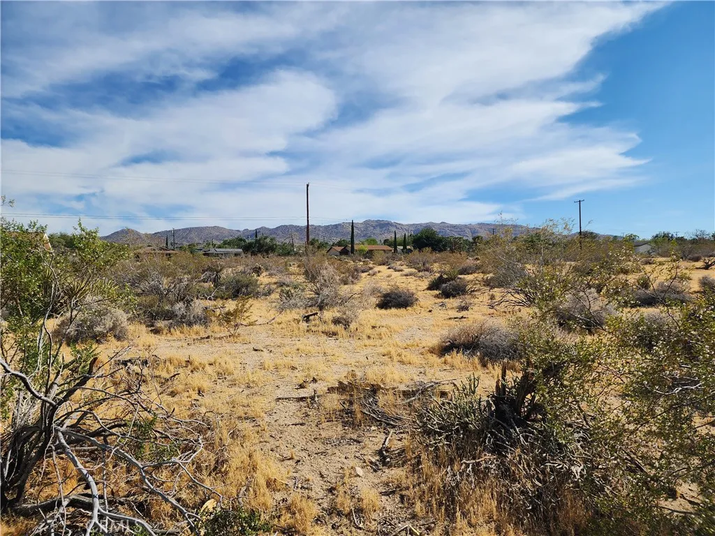 61665 Division, Joshua Tree, California 92252 — photo 4
