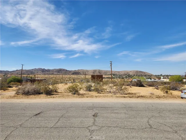 61665 Division, Joshua Tree, California 92252