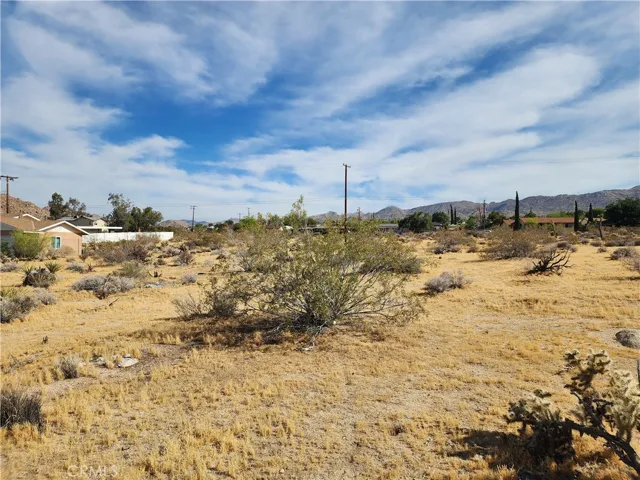 61665 Division, Joshua Tree, California 92252