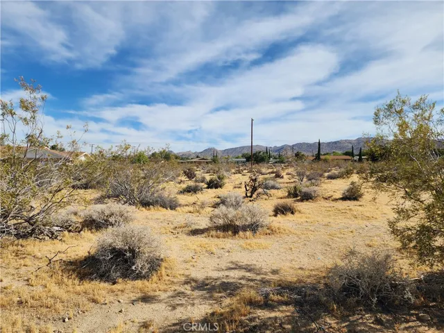 61665 Division, Joshua Tree, California 92252