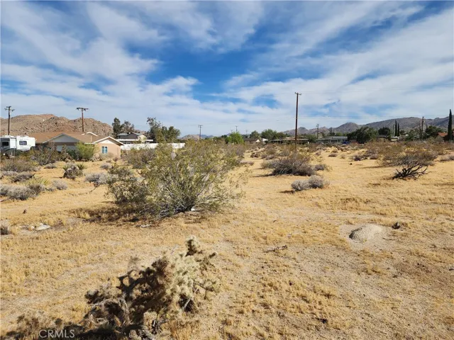 61665 Division, Joshua Tree, California 92252