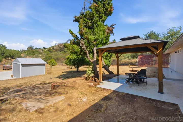 Back yard