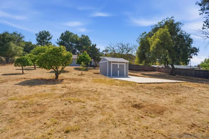 Back yard