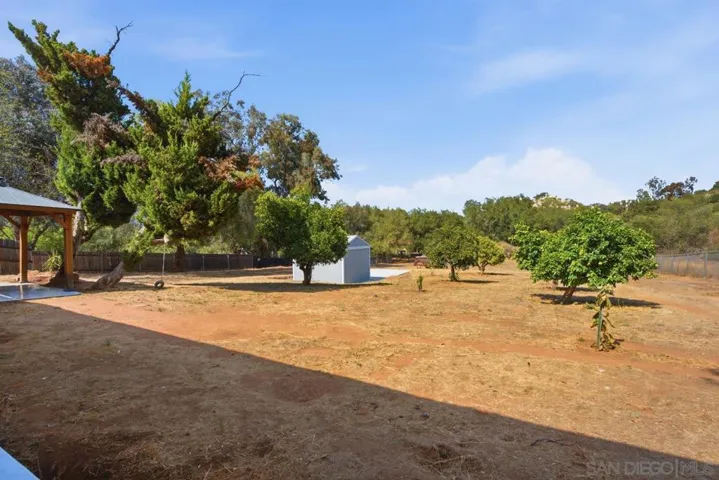 Back yard showing fruit trees.