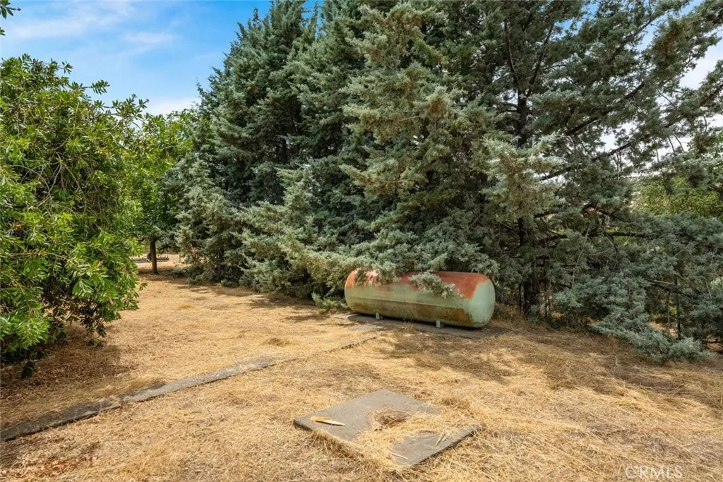 3390 Dry Creek, Butte Valley, California 95965 — photo 5