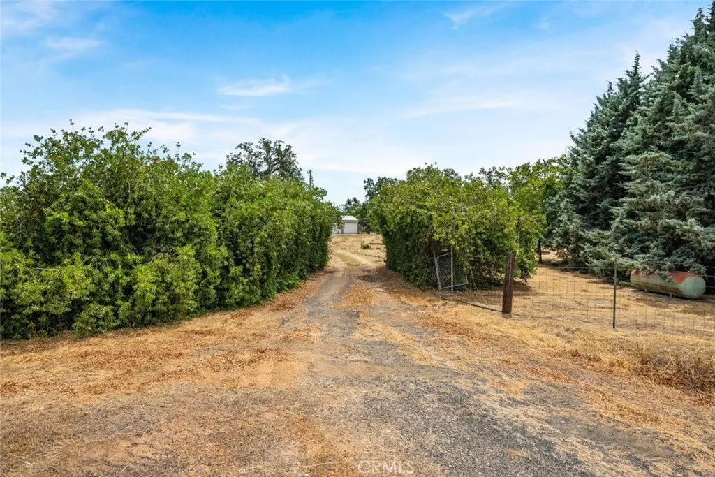 3390 Dry Creek, Butte Valley, California 95965 — photo 4