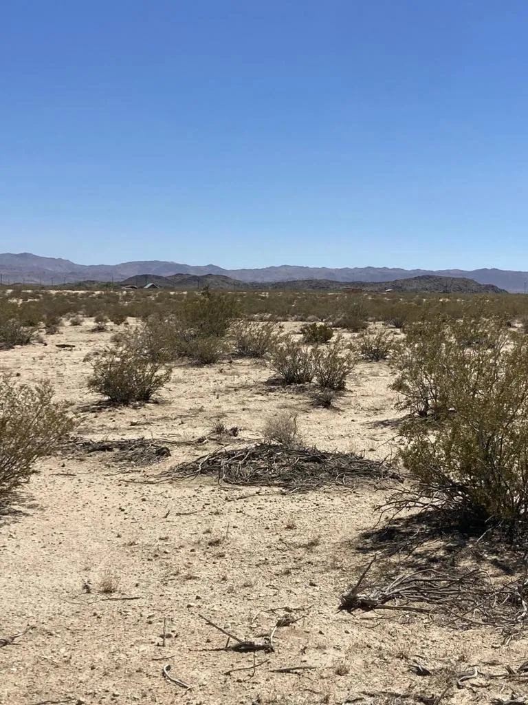 66055 Mars Drive, Joshua Tree, California 92252 — photo 4