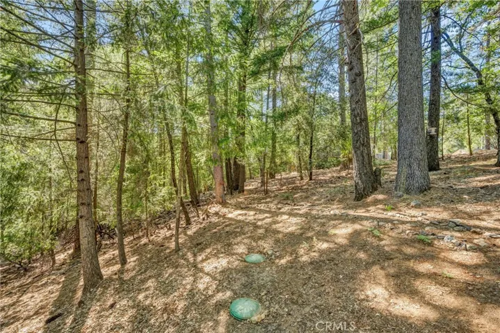 16635 Mountain View Drive, Cobb, California 95426