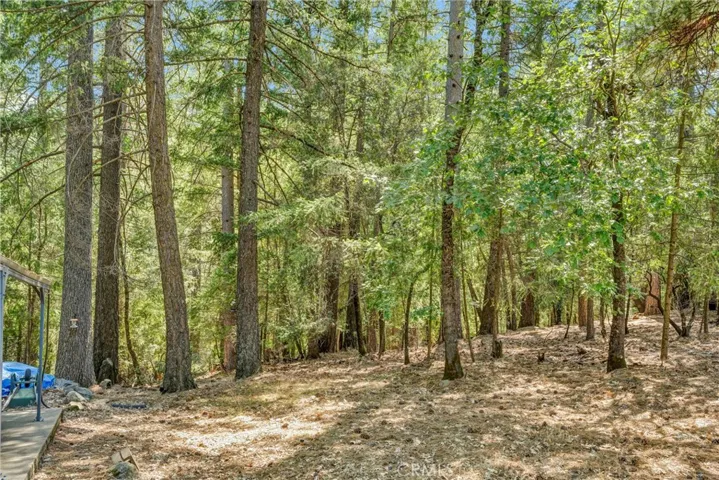 16635 Mountain View Drive, Cobb, California 95426