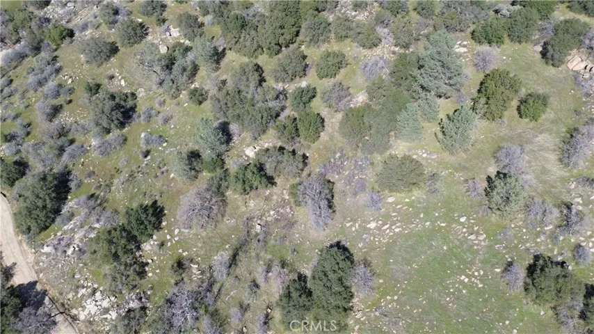 25 Buckaroo Lane, Auberry, California 93602