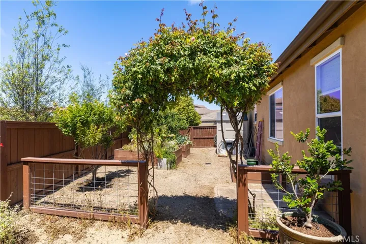Garden area off back patio.