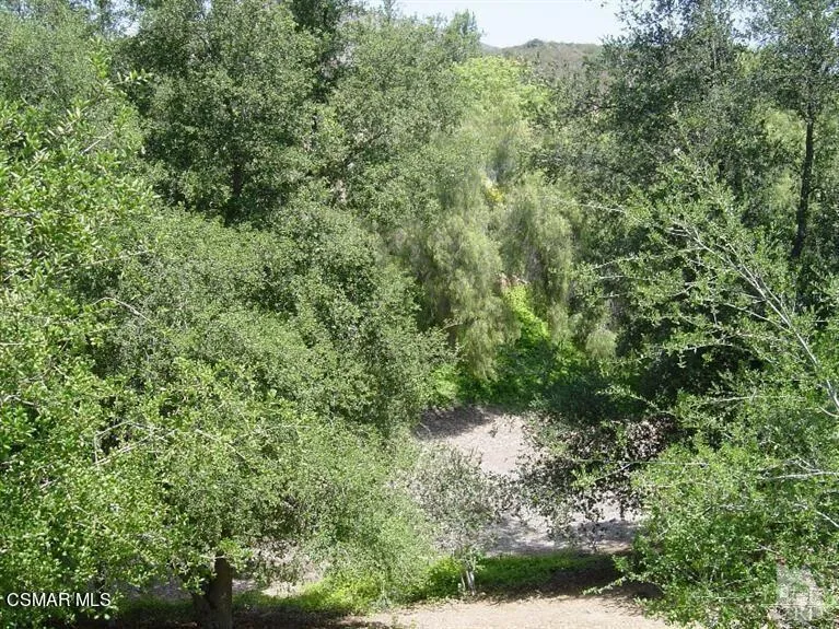 6813 Eaglehaven Lane Open Space