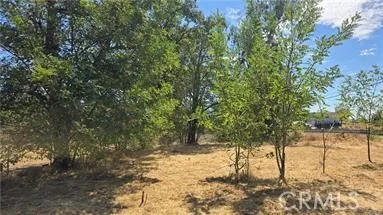 810 Roe, Paradise, California 95969 — photo 5