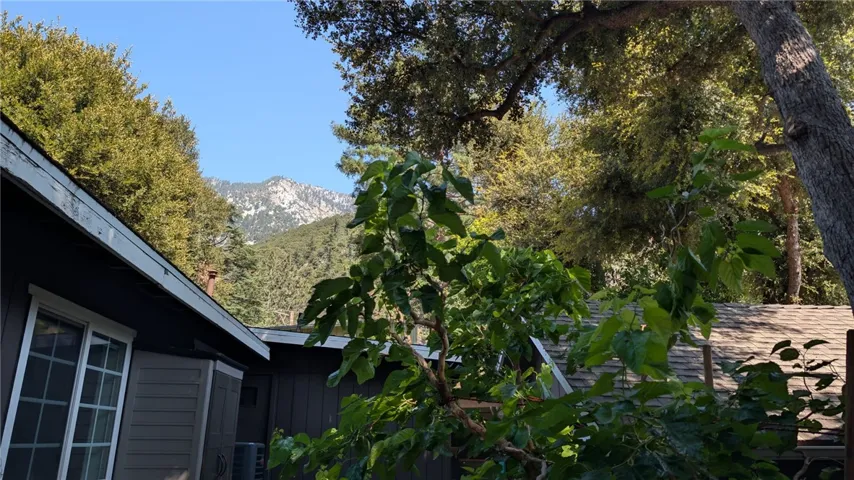 6727 Mt Baldy, Mt Baldy, California 91759